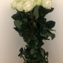 Наталія Голюк