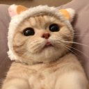 Дарья Леликова