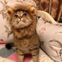 Камила Мингазова