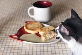 Сырники в духовке