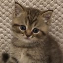 Светлана Редченко