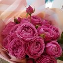 Неля Неоніла