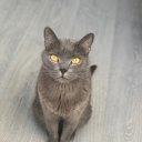 Елена Игоревна