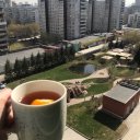 Виктория Лев