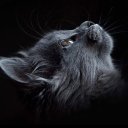 Анастасия Туровец