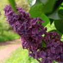 Оксана Микитюк