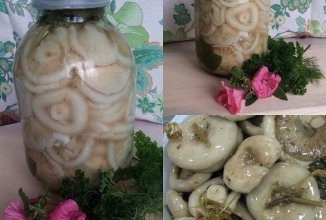 СОЛИМ  ГРУЗДИ