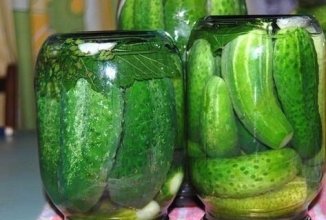 ВКУСНЫЕ ОГУРЧИКИ ВПРОК