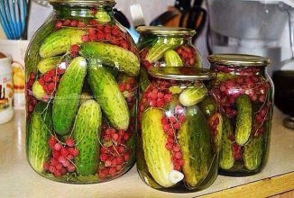 Маринованные огурцы с красной смородиной.