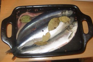 СЕЛЕДОЧКА МАЛОСОЛЬНАЯ