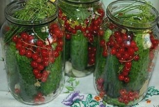 Консервированные огурцы с красной смородиной.
