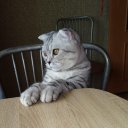 Александр Пушкин