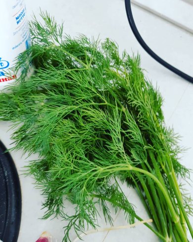 Огурчики хрустик, без сахара - Шаг 4