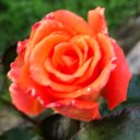 Ольга Миллер