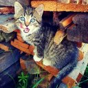 Natalya Khamidullina