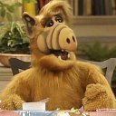 Елена Ковалева Елена Ковалева