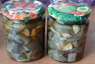 Маринованные грибы