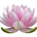 Инна Кулибаба