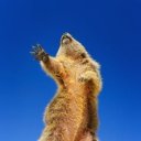 Людмила Бабушкина