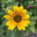 Мадина Магомедова