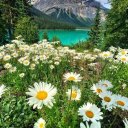 Таня Проценко