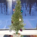 Светлана Светлана