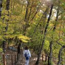 Дарья Горбатова