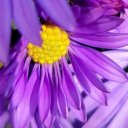 Таня Шматковская