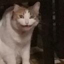 Надежда Паненко