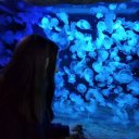 Анна Филин Анна Филин