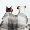 Ирина Стукалина