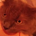 Наталья Михалева