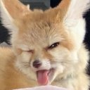 Дарина Лунова