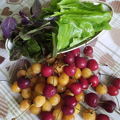 Компот, как лимонад - Шаг 1