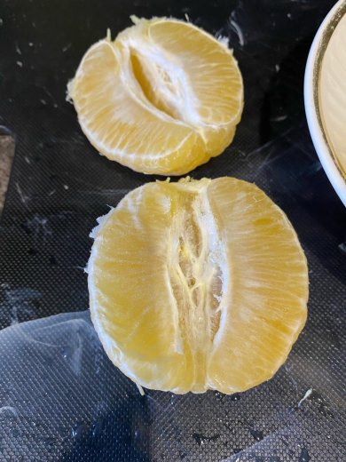 Лимонник - Шаг 4