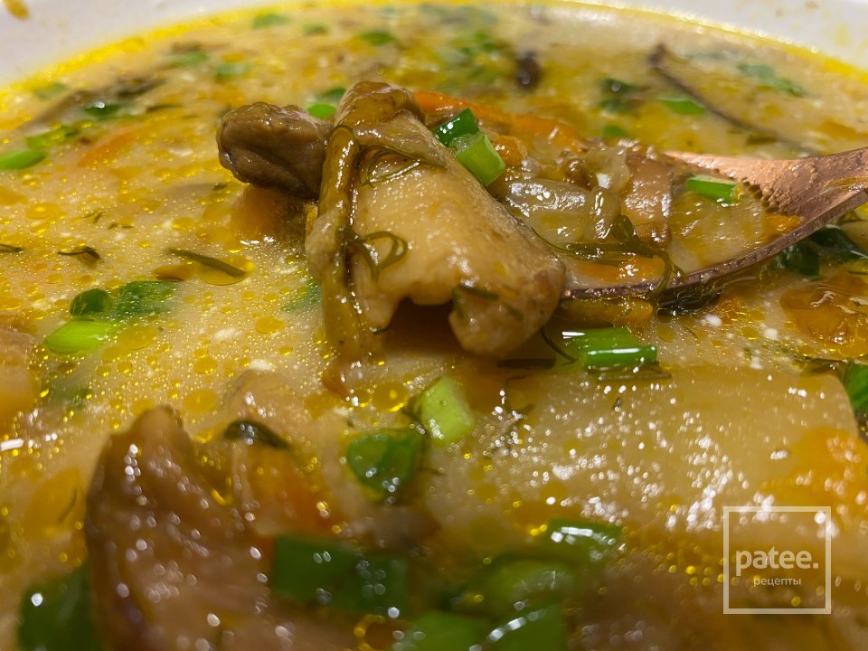 Суп из сушёных белых грибов - Шаг 16