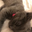 Алина Ракитская