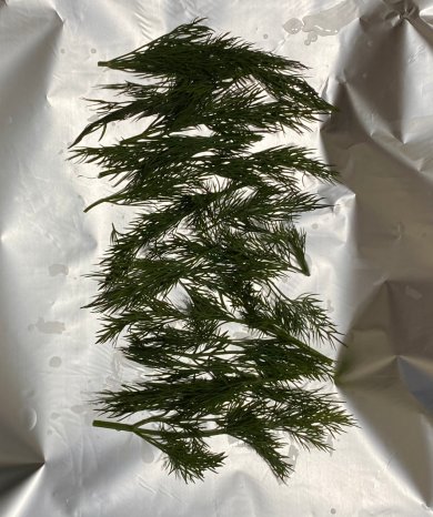 Форель запечённая с укропом и лимоном - Шаг 2