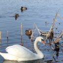 Наталья Кривонос