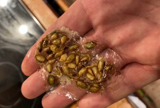 Чипсы из семечек