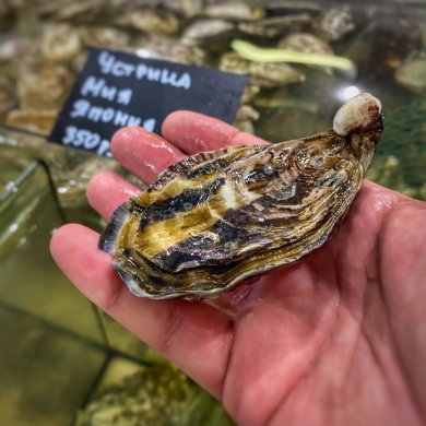 Соус для устриц - Шаг 2