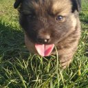 Майя- Віра Брожко