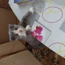 Юлия Селюкова