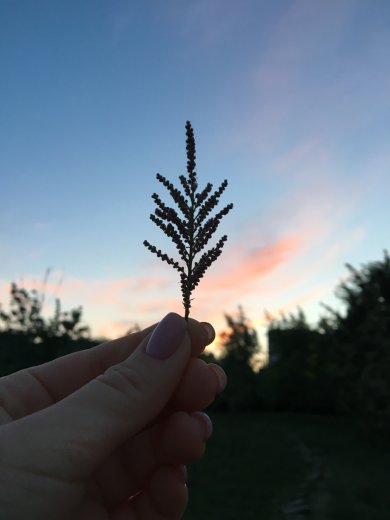 Грудка индейки с грибами в сливочном соусе - Шаг 1