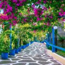 Лола Каримова