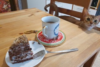 "Панчо" за 30 мин. на сковороде