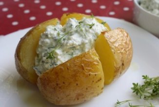 Великопольский гзик 👍🏼