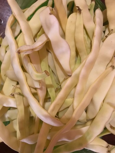 АЧАПА из стручковой фасоли - Шаг 1