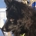 Ирина Когут