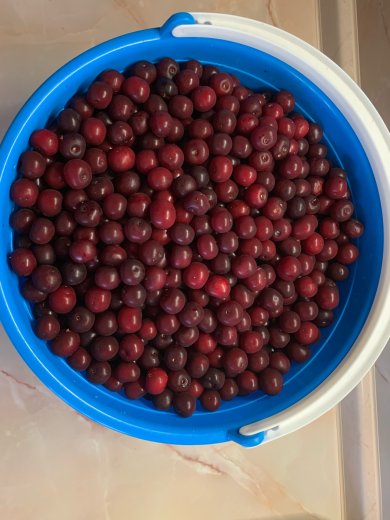 Варенье из вишни - Шаг 1